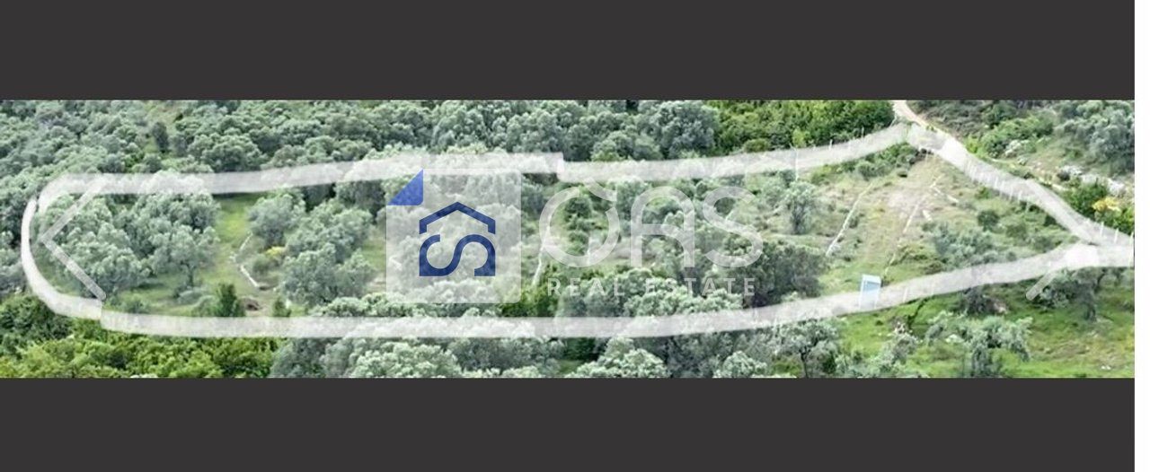 Tokë Për Shitje në Petrelë, Tiranë - 300 000€ | 4000 m²