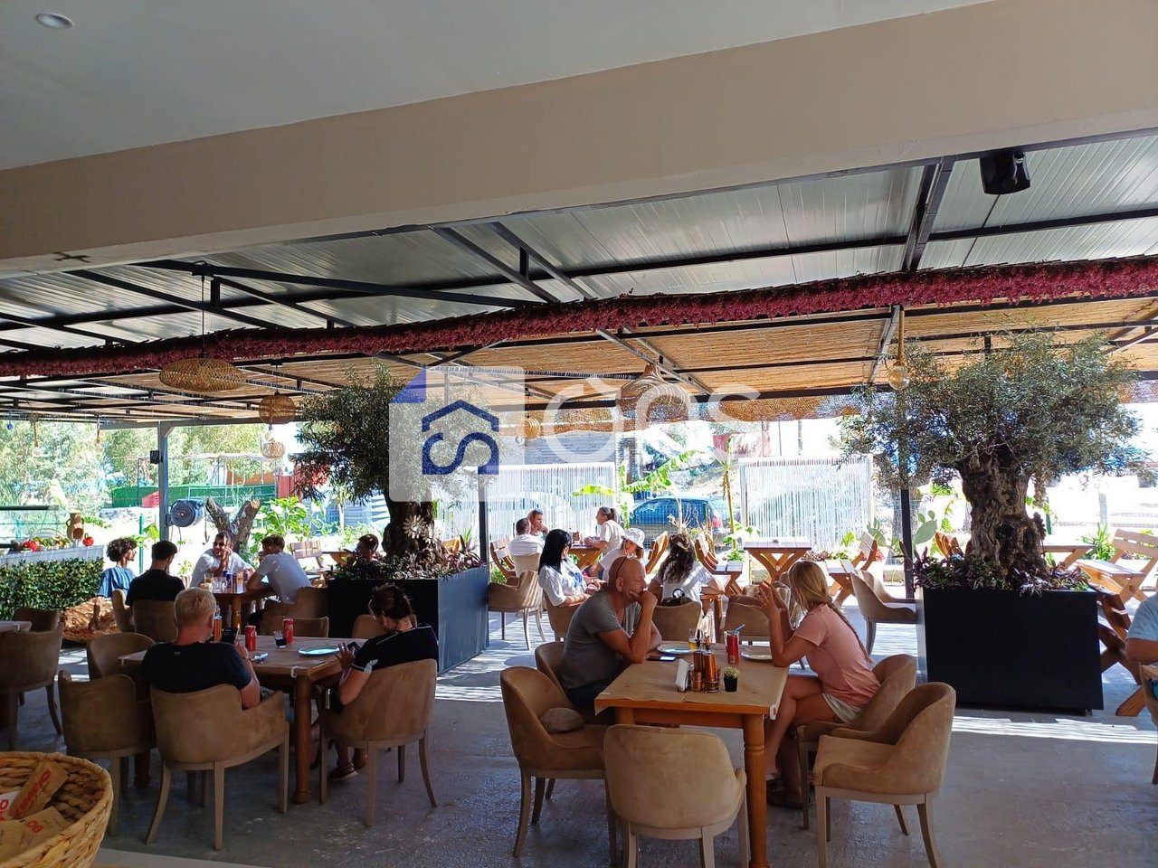 JEPET ME QIRA RESTORANT NE QEPARO (POZICIONI UNIK BUZE DETIT) 2