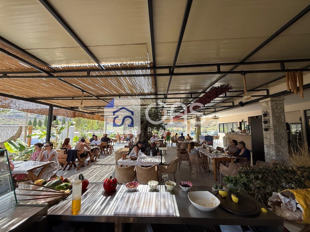 JEPET ME QIRA RESTORANT NE QEPARO (POZICIONI UNIK BUZE DETIT)