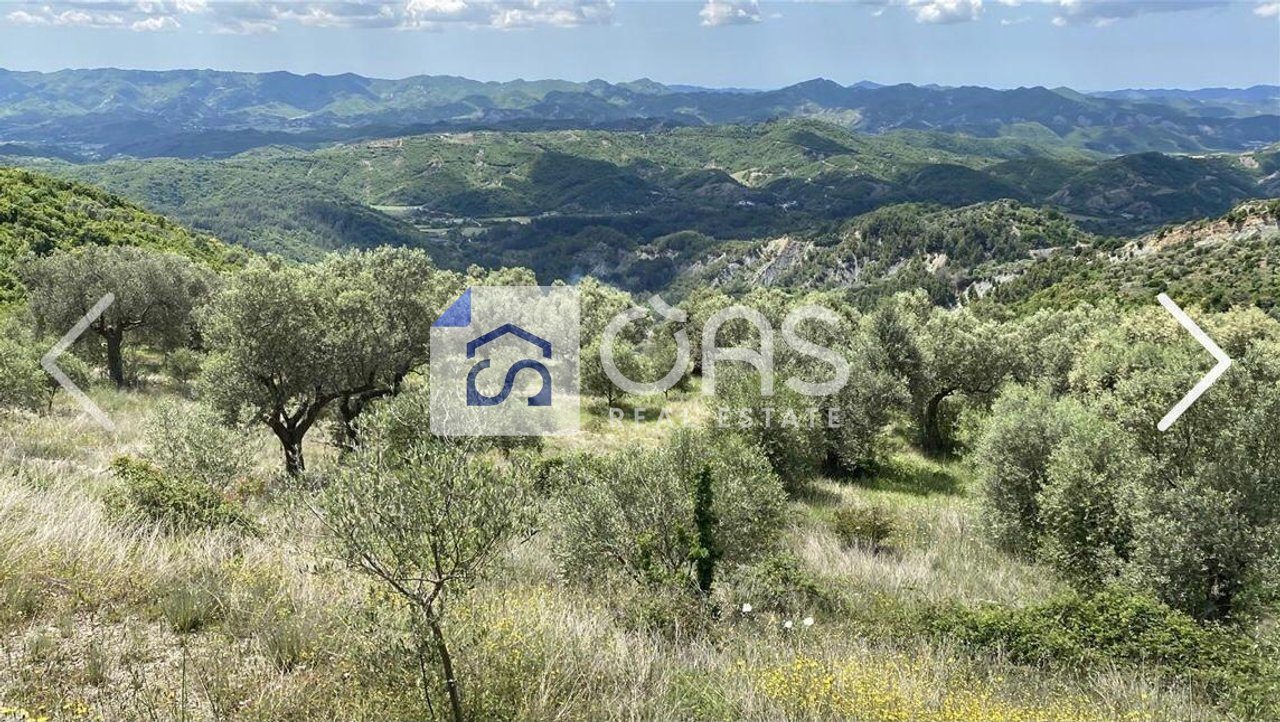 Tokë Për Shitje në Petrelë, Tiranë - 300 000€ | 4000 m² 2