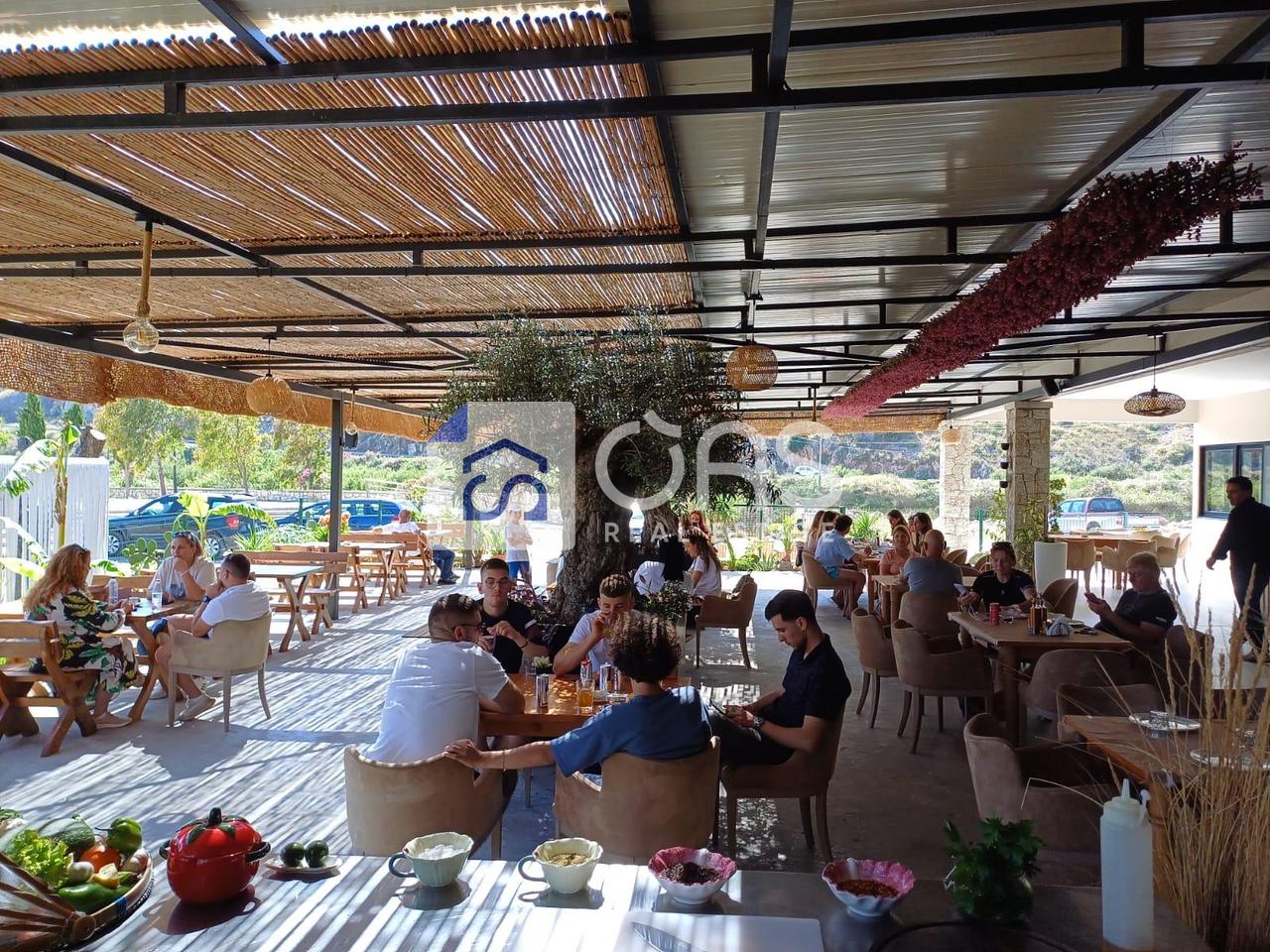 JEPET ME QIRA RESTORANT NE QEPARO (POZICIONI UNIK BUZE DETIT) 3