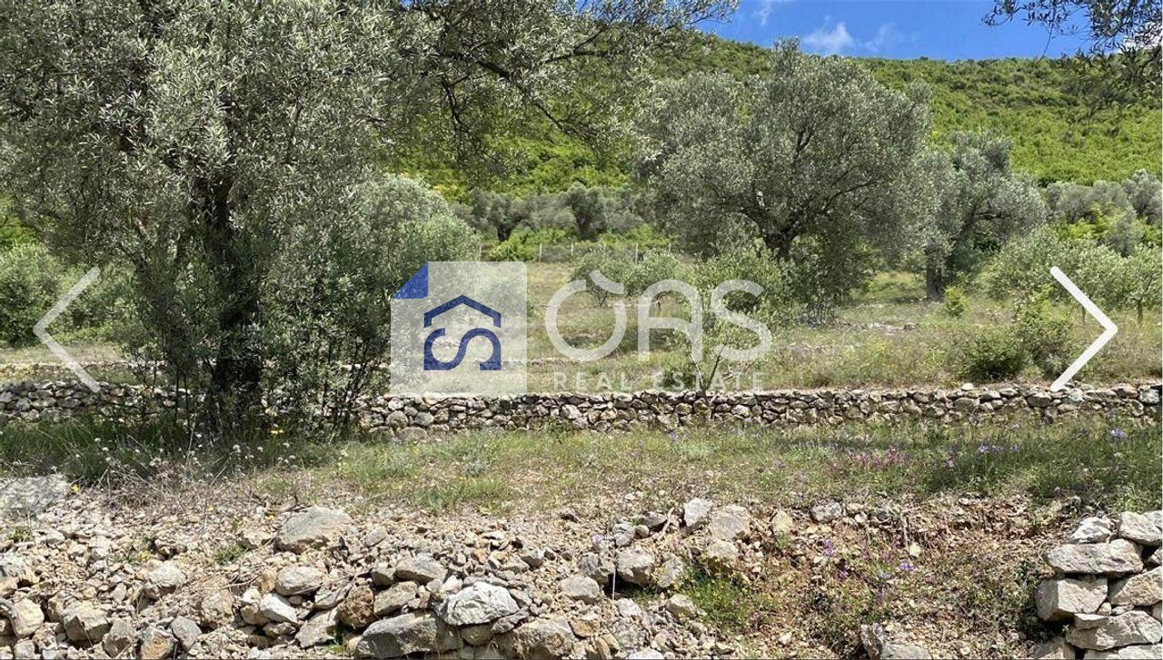 Tokë Për Shitje në Petrelë, Tiranë - 300 000€ | 4000 m² 3
