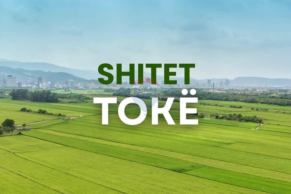 Shitet Toke Rinas(fushe Preze)