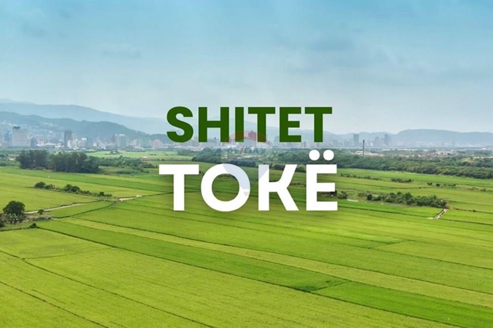 Shitet Toke Rinas(fushe Preze) 3