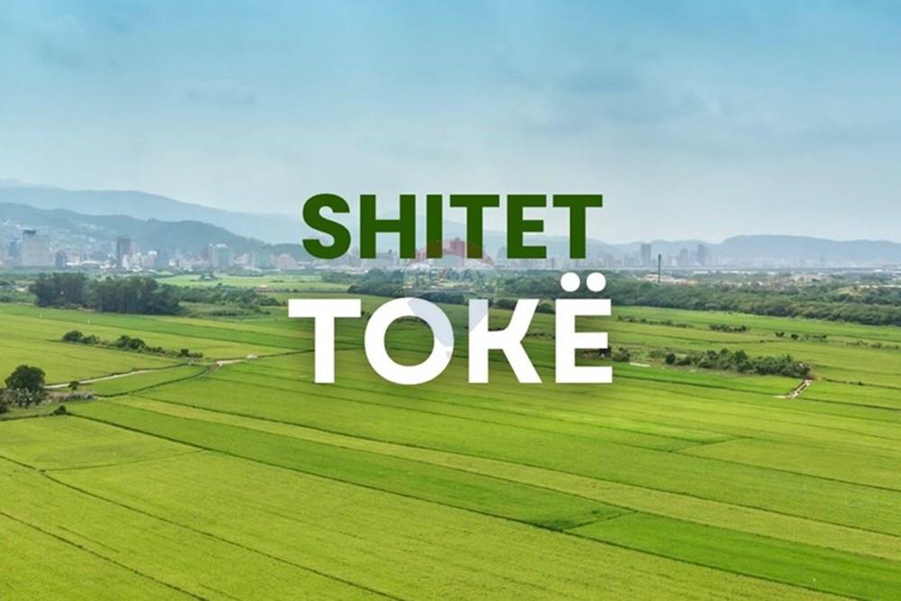 Shitet Toke Rinas(fushe Preze) 2