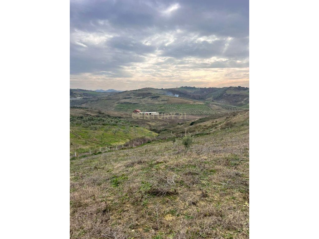 Tokë për Shitje në Arapaj, Durrës - 362700€ | 8060 m² 4