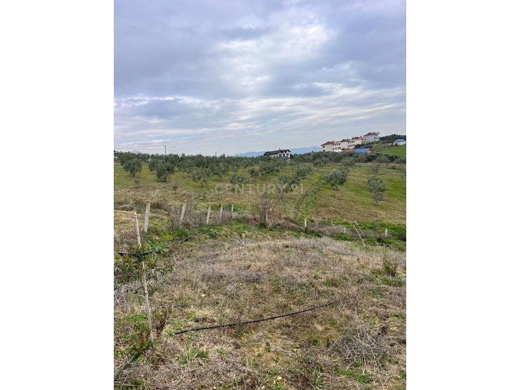 Tokë për Shitje në Arapaj, Durrës - 362700€ | 8060 m² 3