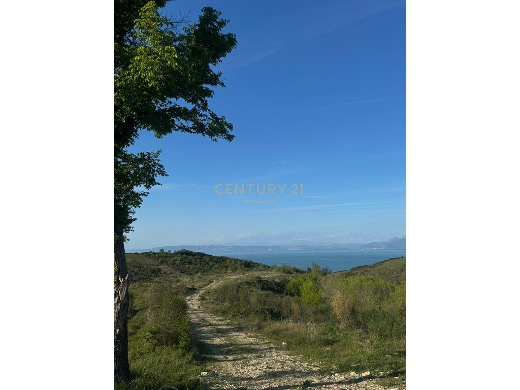 TOKE PER SHITJE ME PAMJE DETI NE SHETAJ,KEPI I RODONIT 13,500 m² 3