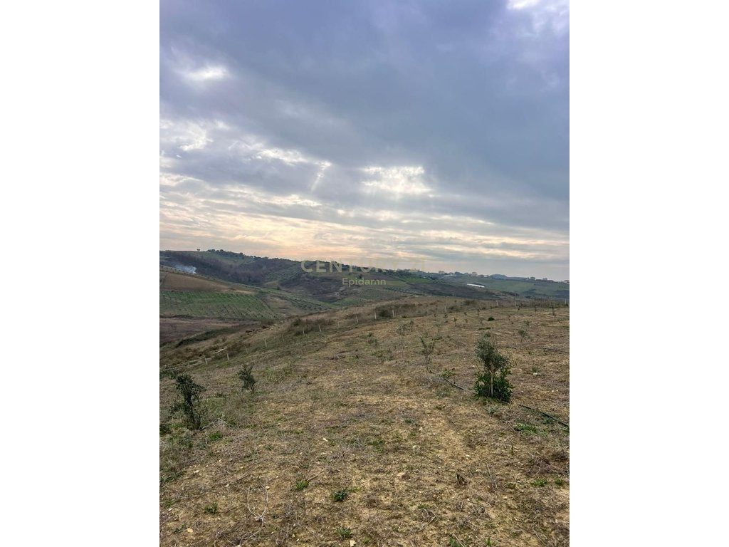 Tokë për Shitje në Arapaj, Durrës - 362700€ | 8060 m² 2