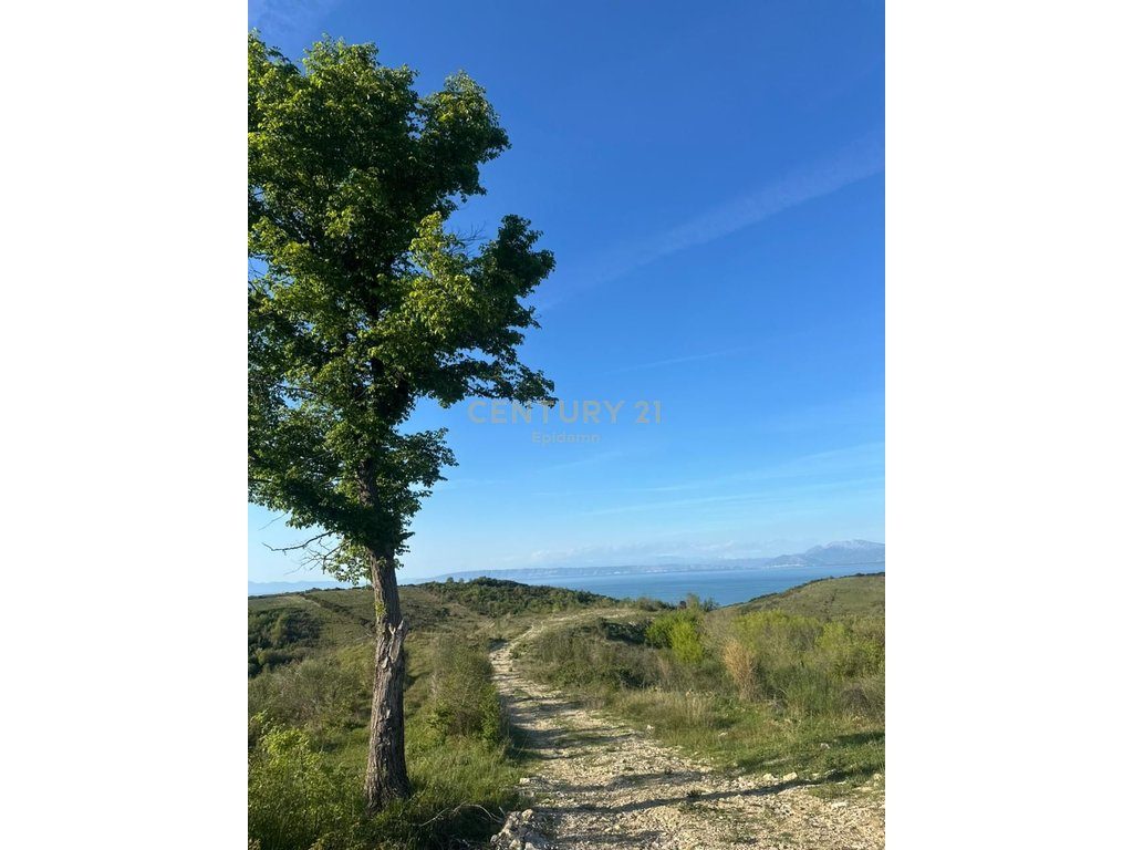 TOKE PER SHITJE ME PAMJE DETI NE SHETAJ,KEPI I RODONIT 13,500 m² 4