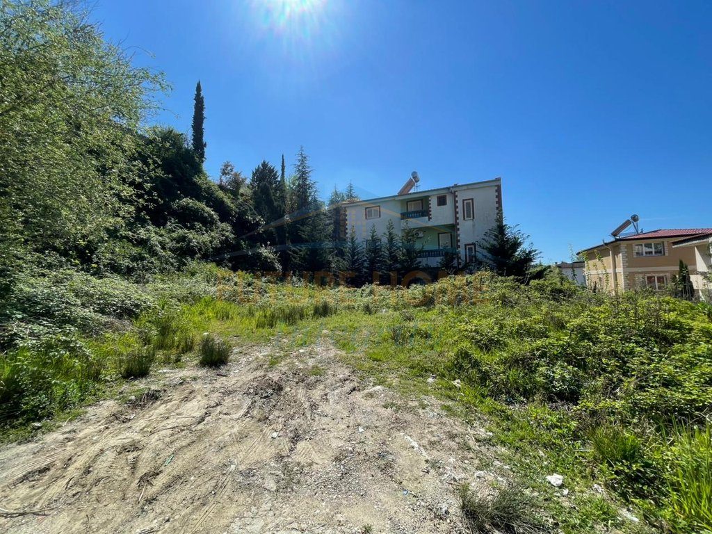 Shitet, Tokë, Vilat Gjermane, Tiranë. 1