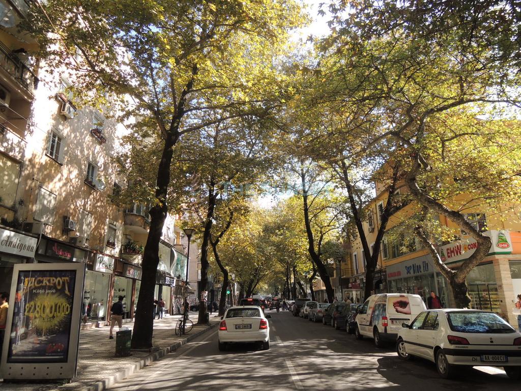 Apartament 1+1 për qira në rrugën "Myslym Shyri"