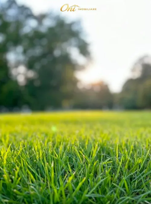 Farm parcel for sale Ibe (Tirana Suburbs)