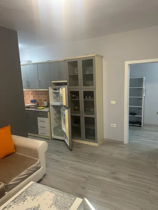 Apartment to rent Elbasan Str. - Lake Park (Tirana - city) 3