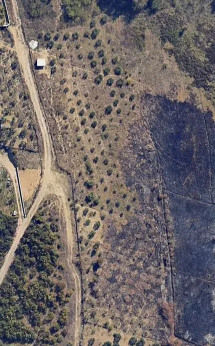 Farm parcel for sale Vaqar - Prush (Tirana Suburbs)
