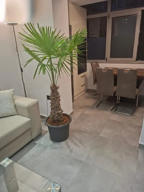 Apartment to rent Komuna e Parisit - Kristal Center (Tirana - city) 4
