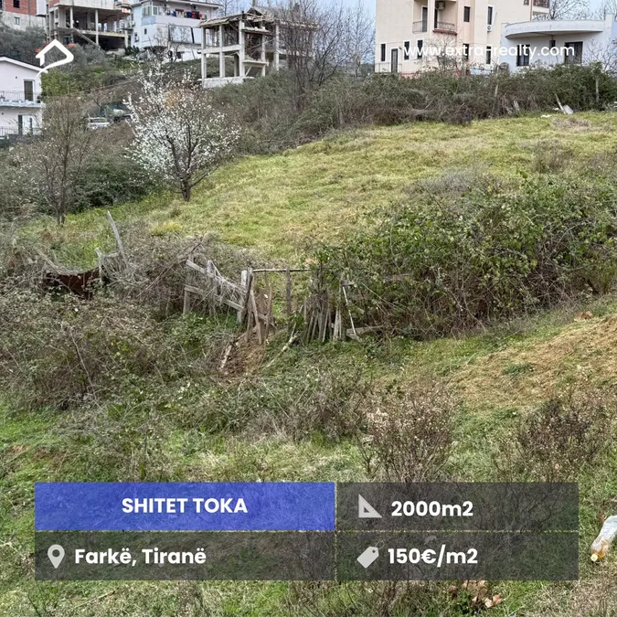 Shitet Toka Farke, Tirane