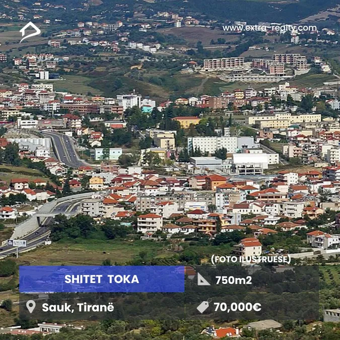 Shitet Toka Sauk, Tirane