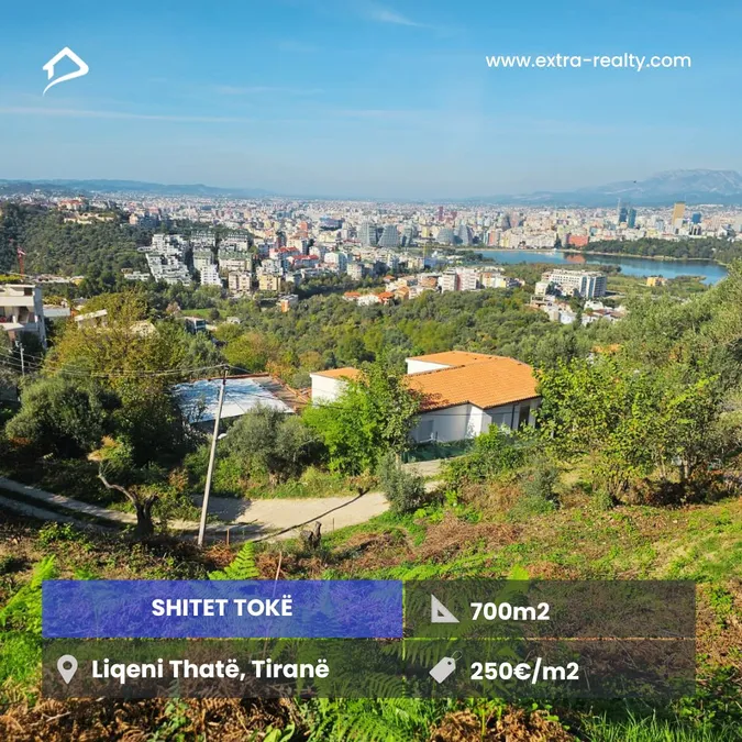 Shitet Toka Liqeni Thate, Tirane