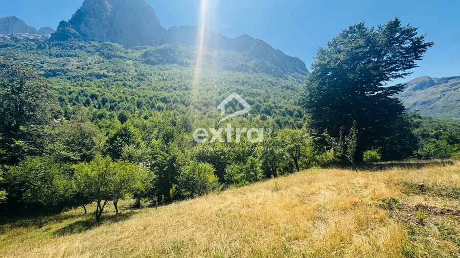 Shitet toke ne boge me dokumente 2700m2