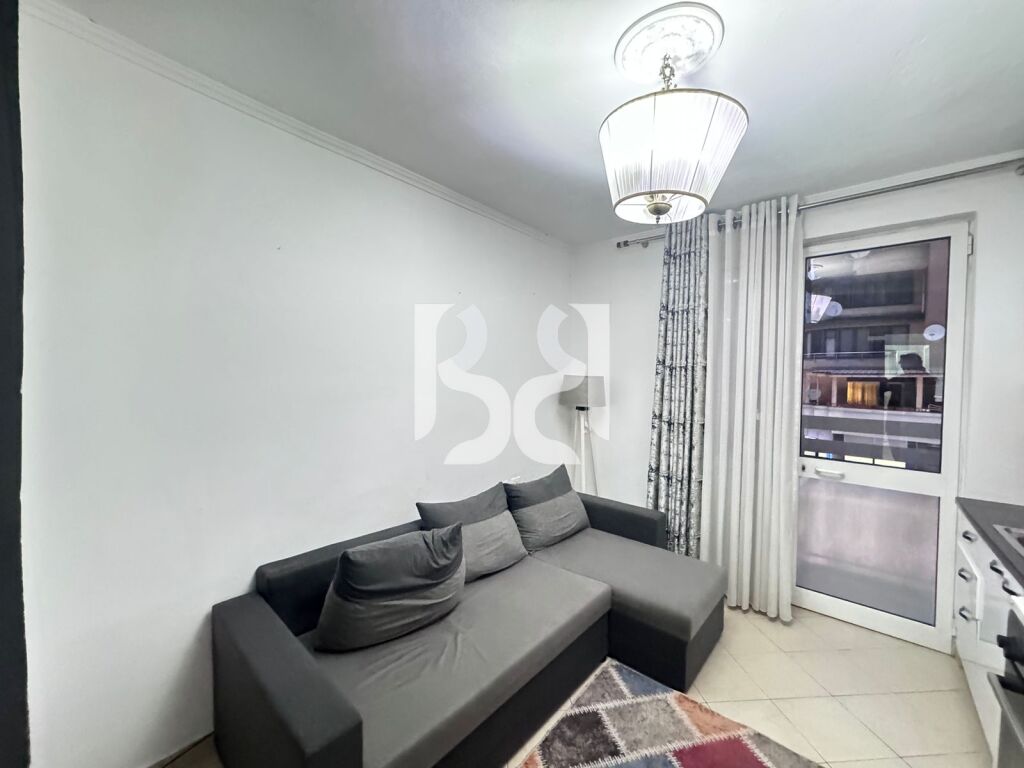 JAPIM APARTAMENT 1+1 ME QIRA SHESHI WILLSON 3