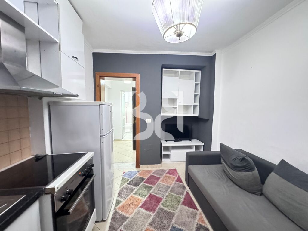 JAPIM APARTAMENT 1+1 ME QIRA SHESHI WILLSON 2