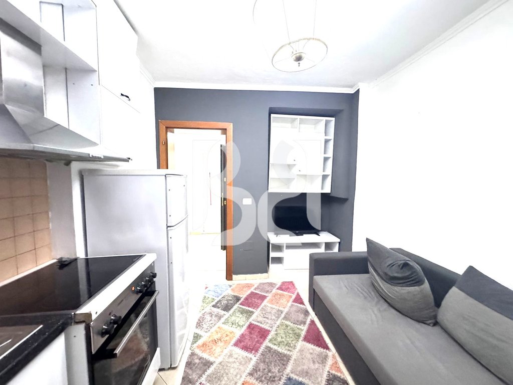 APARTAMENT 1+1 ME QIRA TEK SHESHI WILLSON 550EURO*