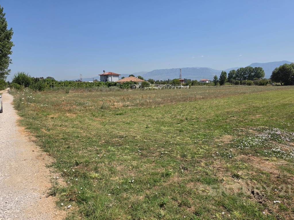 SHITET TOKË NË FUSHË PREZË 8400 m² ! 2