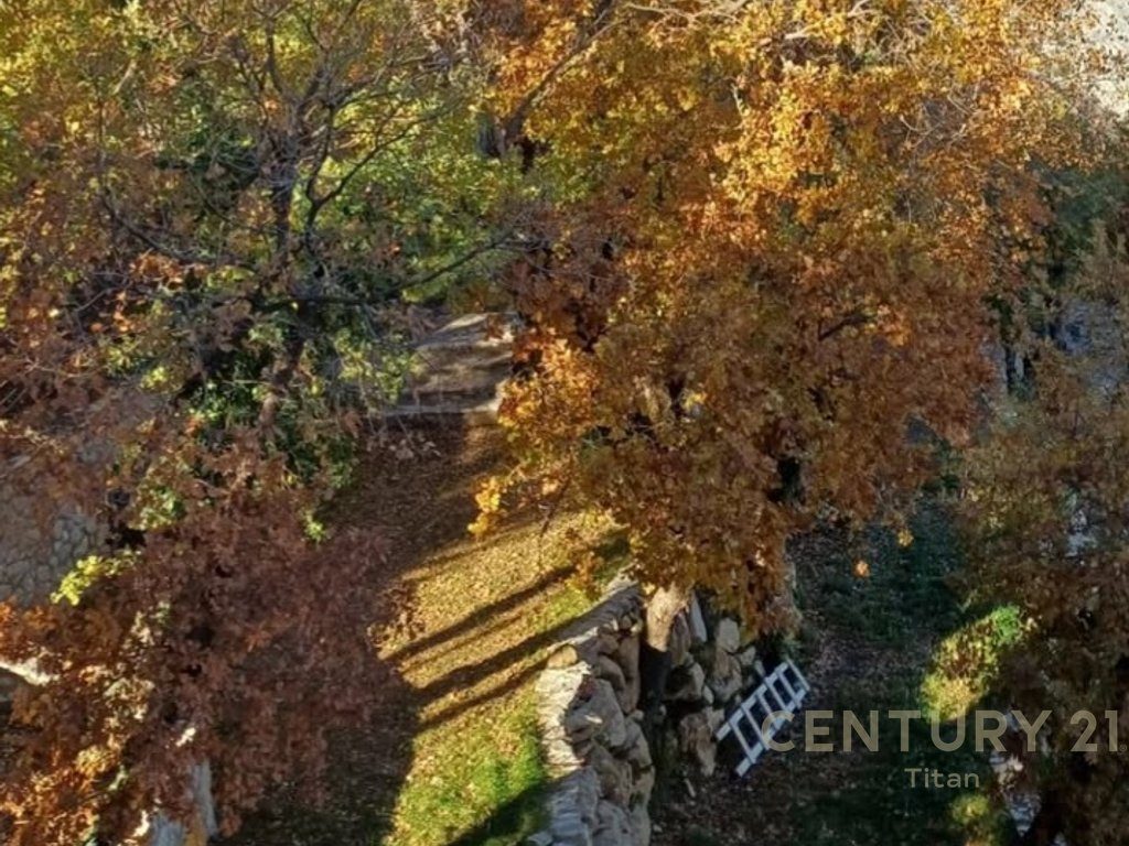 SHITET BUJTINE , RRETH 28KM LARG NGA QENDRA E TIRANES!!!