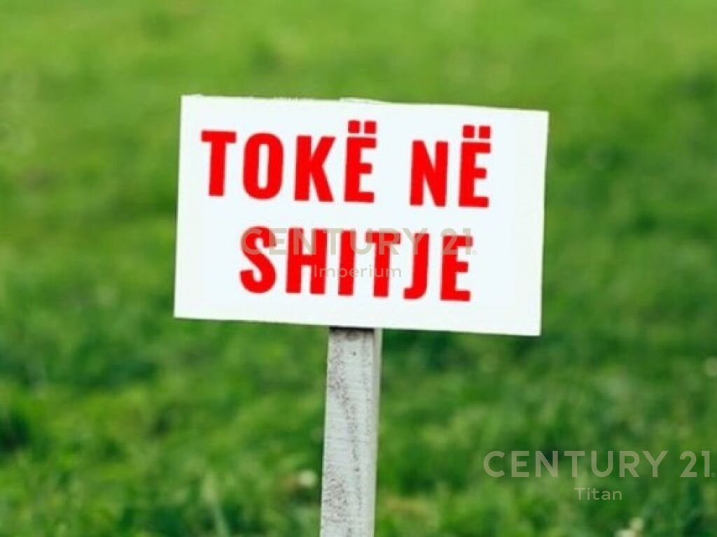 Shitet Toke ne Vaqarr , Tirane