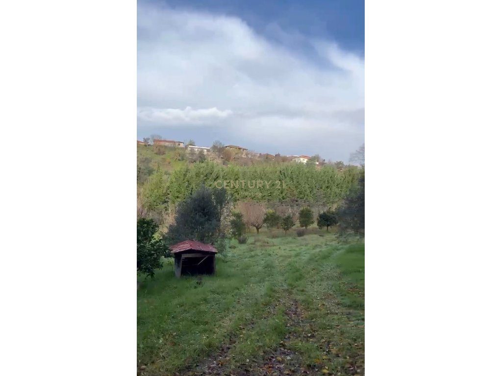 TOKE PER SHITJE NE ZONEN E PRUSHIT, TIRANE!